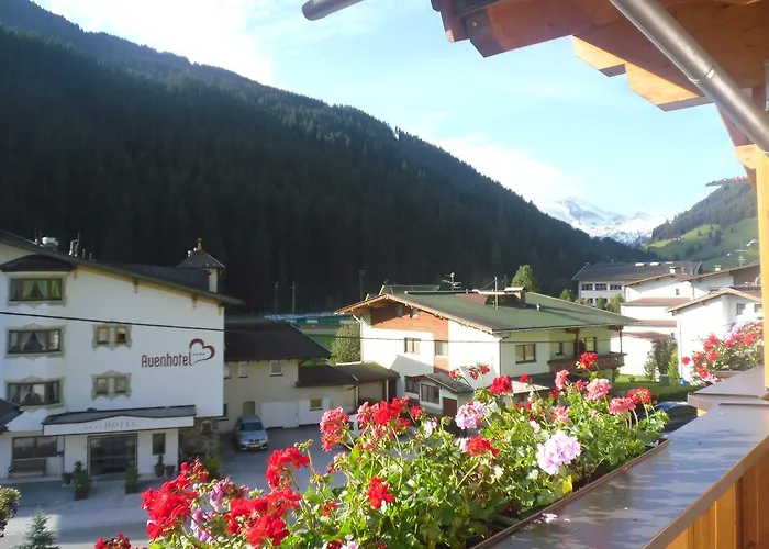 Gruenwaldhof 3* تكس