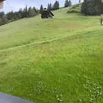 Frühstückspension Grünwaldhof